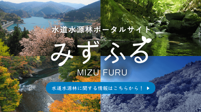 水道水源林ポータルサイトみずふる