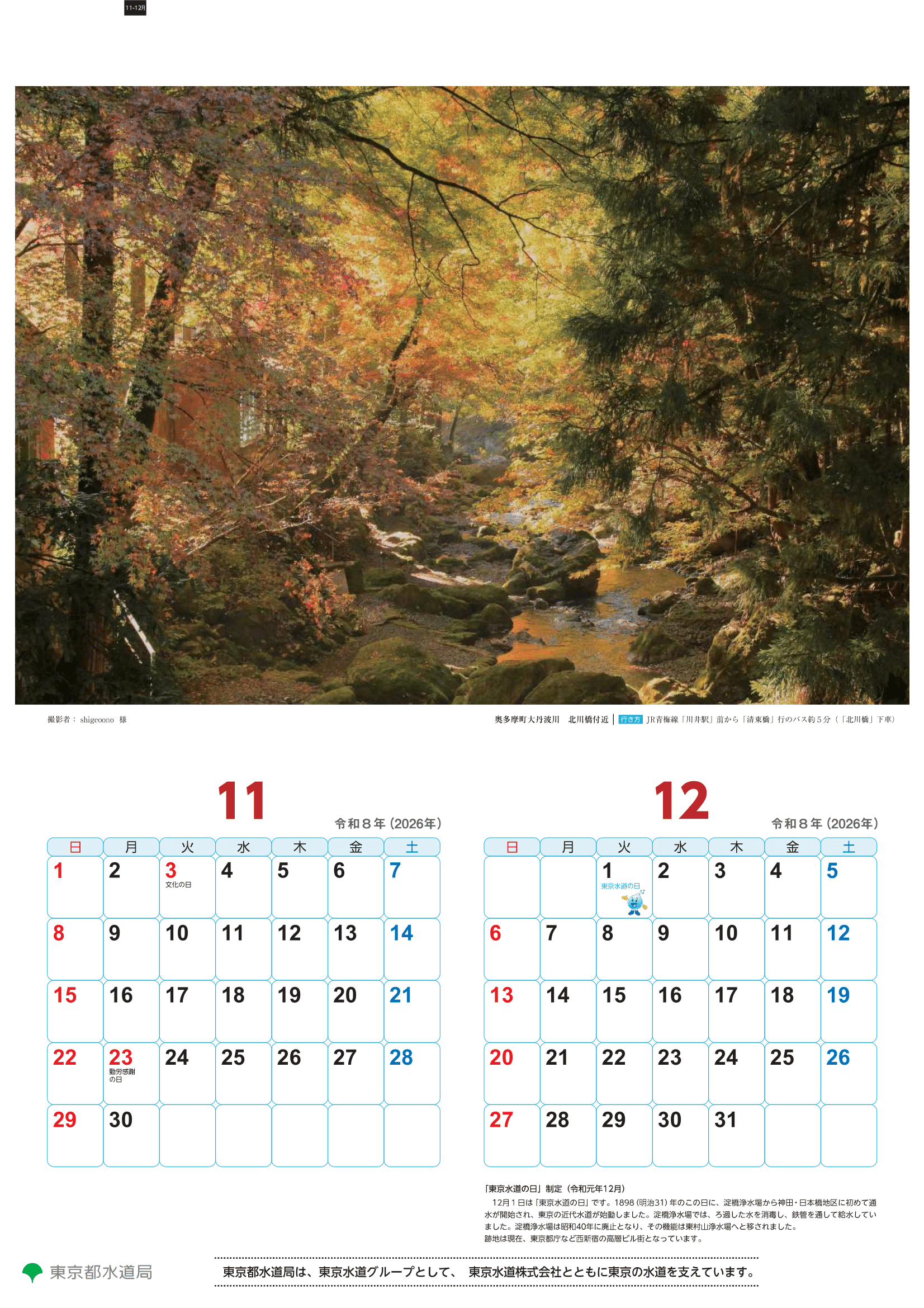 2026_11_12