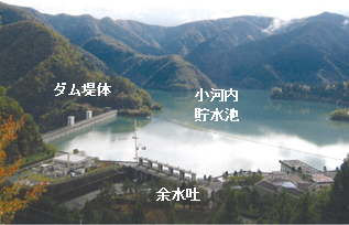 ダム