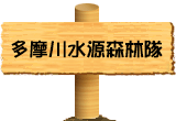 水を守る森の話、水道水源林