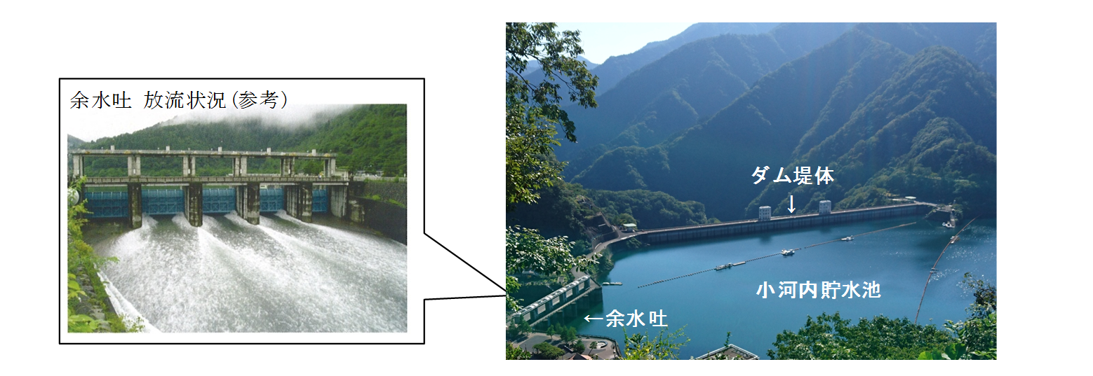 放流状況